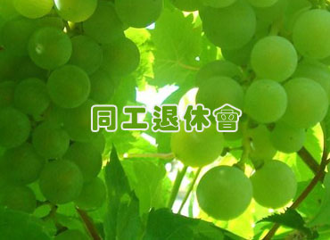 週間消息
