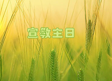 週間消息